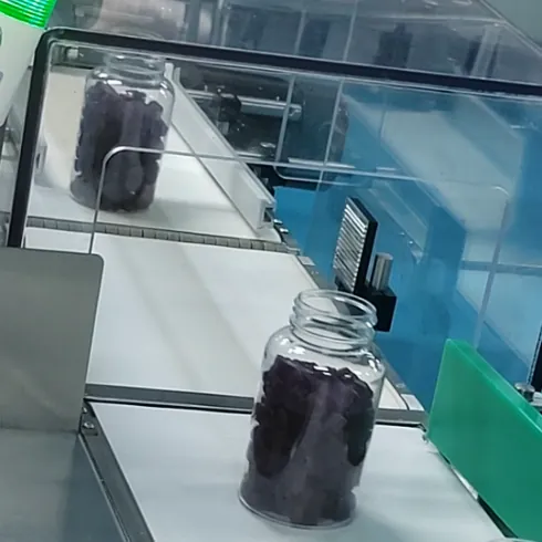 Gummy bottles moving through an automated line during controlled saffron gummy batch production
