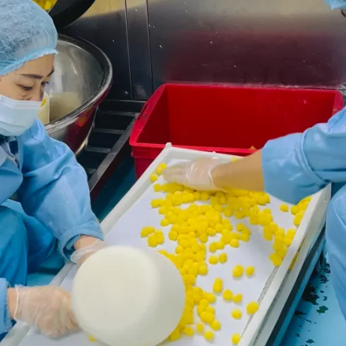 Production staff handle yellow gummies during controlled saffron gummy batch processing