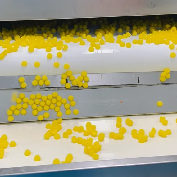 Yellow gummies moving through a production conveyor during controlled saffron gummy batch manufacturing