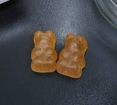 Amber bear-shaped gummy samples for standardized saffron extract gummy development