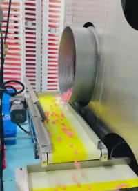 Pink gummies moving along production equipment during saffron vitamin B6 gummy development