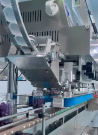 Purple gummies feed into production equipment during blackcurrant saffron gummy manufacturing