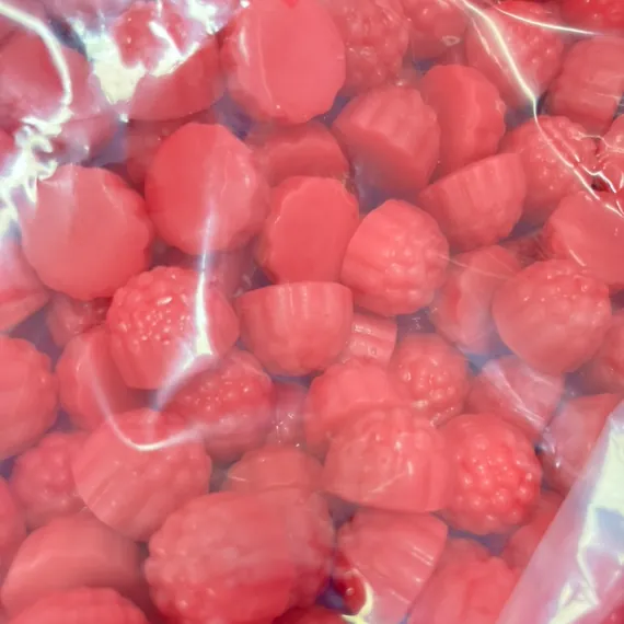 Packaged gummy batch samples prepared for sea moss gummy quality review and release