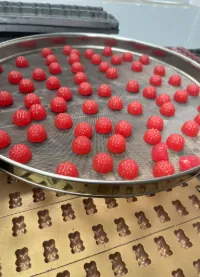 Berry-shaped gummy batch evaluated during a sea moss and black seed oil surface-oiliness project
