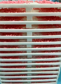 Gummy trial batches on drying racks during a whole sea moss texture-improvement project