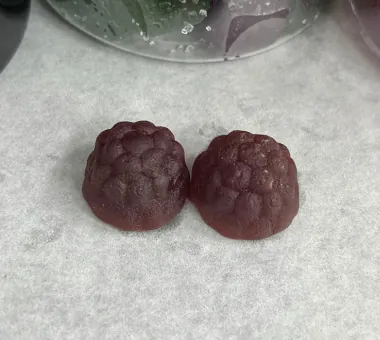 Two dark brown textured gummy samples displayed as the Pure Himalayan Shilajit Gummies product concept