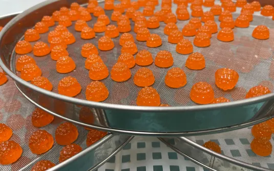 Drying and product-optimization scene for a natural shilajit gummy flavor-fit project