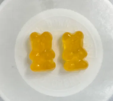 Two small yellow bear-shaped gummy samples in a dish for a kids superfood gummy concept