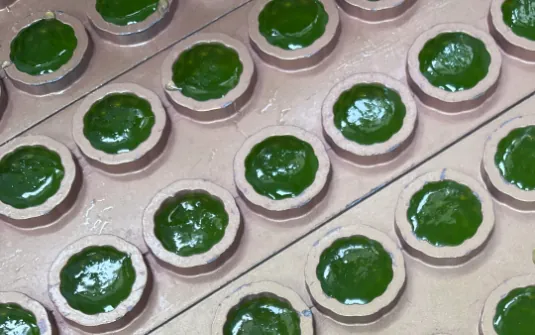 Green gummy samples in production molds illustrating pilot sampling for a U.S. daily greens and fiber gummy project