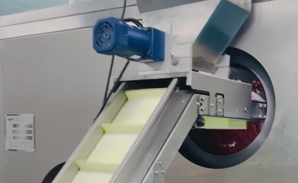 Turmeric gummy project baseline conveyor