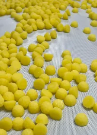 Golden-yellow gummy pieces on a production screen during a 95 percent curcuminoid scale-up evaluation