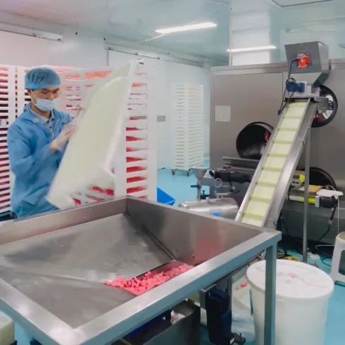 Sucotond production staff handling gummy trays and equipment during vitamin B12 gummy manufacturing