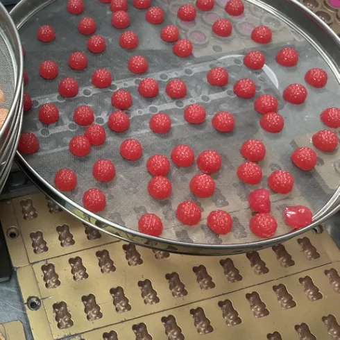Red vitamin B12 gummy samples on a production tray during sample and scale-up evaluation