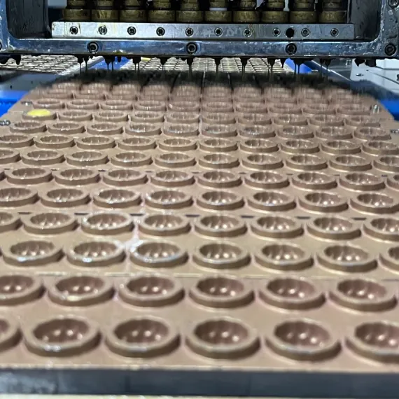 Depositing line and moulds used to keep every vitamin B12 gummy consistent at microgram level