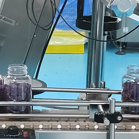 Purple gummy bottles on an automated line for methylcobalamin vitamin B12 gummy bottling