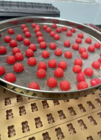 Red cherry-style gummies on a tray for a vitamin B12 and iron gummy project case