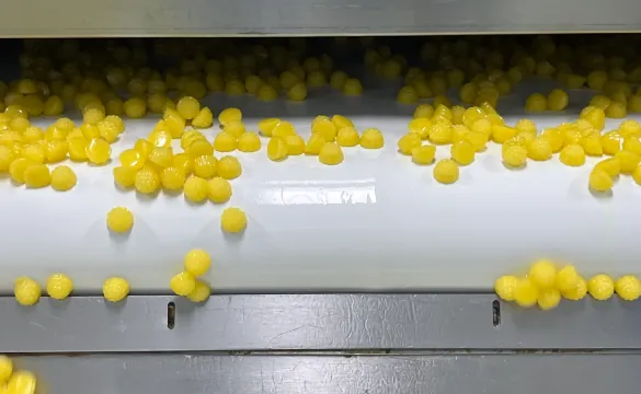 Vitamin c gummy commercial production line