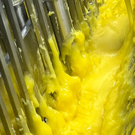 Yellow gummy matrix under mixing during high-dose vitamin C gummy formulation development