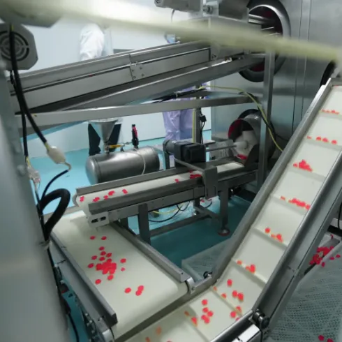Red vitamin gummies move along conveyors through temperature-controlled production equipment designed to maintain suitable processing conditions for different vitamin ingredients.