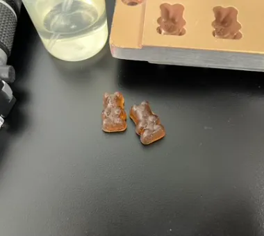 Two brown bear-shaped multivitamin gummies representing a premixed formula that combines vitamins A, C, D, E and B vitamins in controlled ratios for premium private label products.