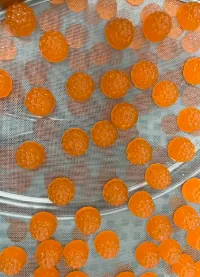 Orange berry-shaped multivitamin gummies for adults on a production screen, representing premium formulas focused on vitamins D, E, B12 and broader daily supplementation.