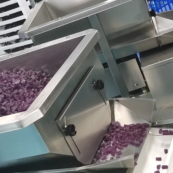 Purple gummies distributed across production lanes during commercial creatine gummy processing