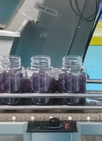 Purple gummy bottles moving through an automated line during commercial creatine gummy batch production